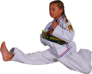 Awesome Martial Arts Girl