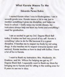Essay on karate means to me