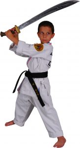 Karate Kid With Sword