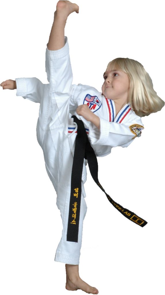 Great Kicking Karate Kid