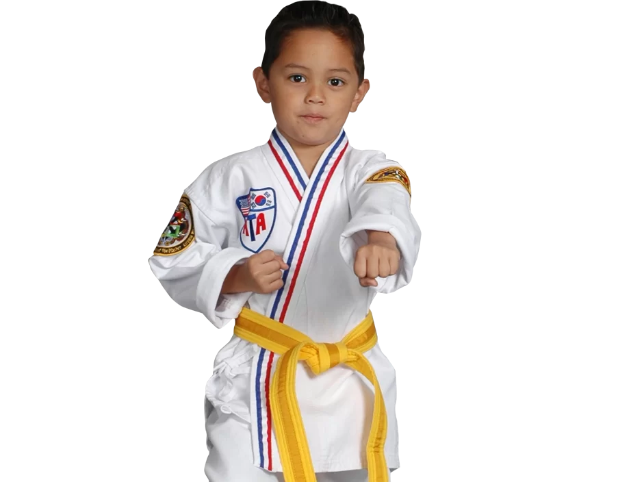 young boy in martial art stance